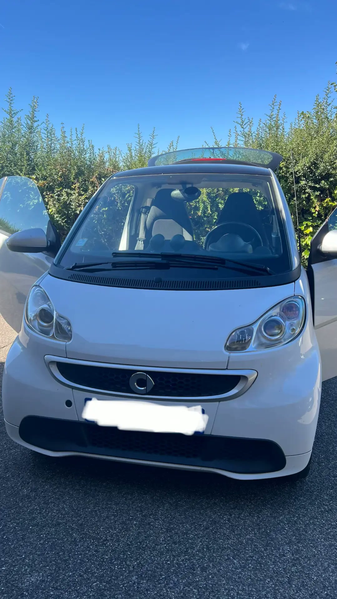 Smart Fortwo — intervention Clean Drive à Lyon
